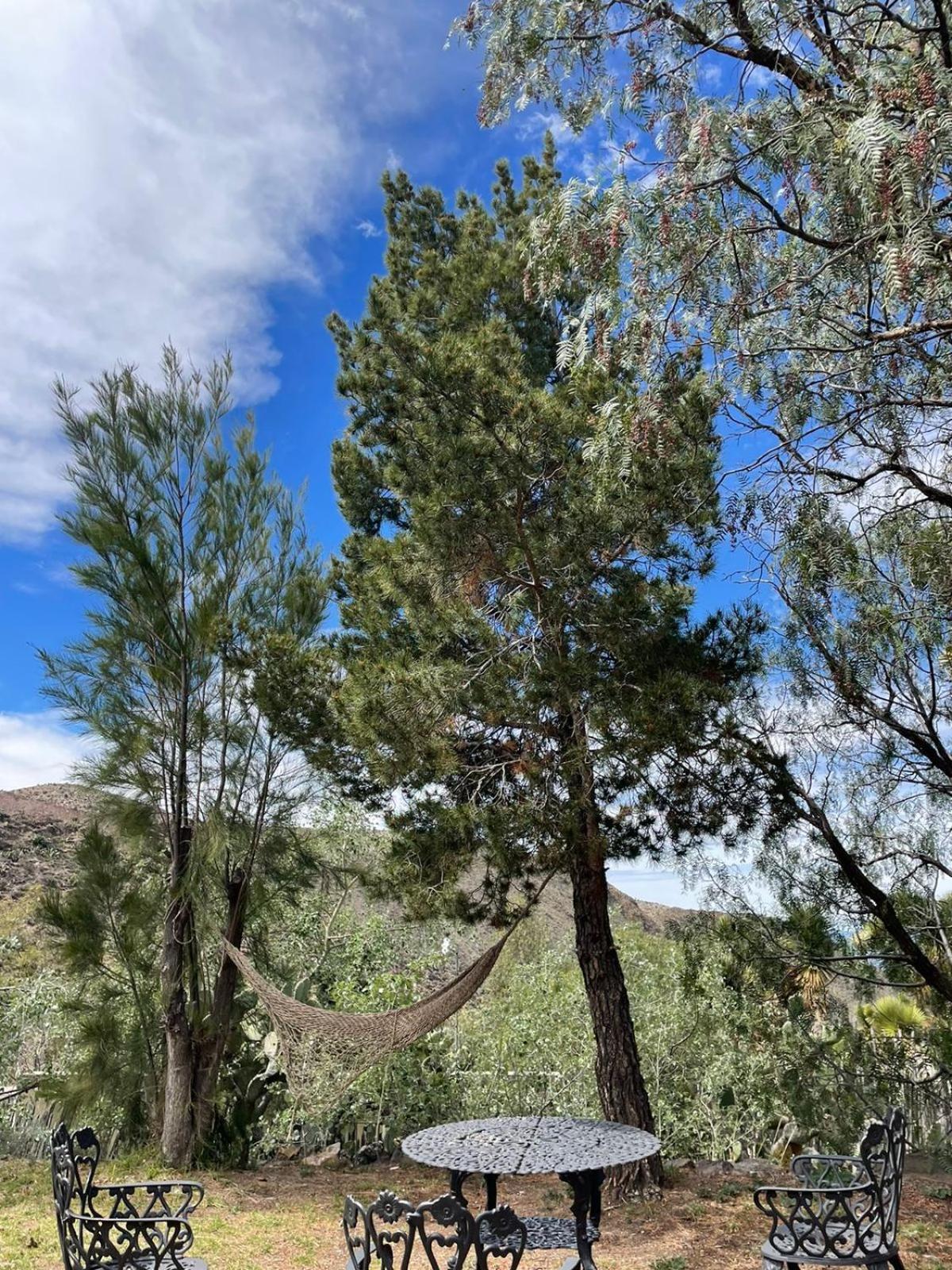 Ventana Al Desierto ξενώνας Catorce Εξωτερικό φωτογραφία