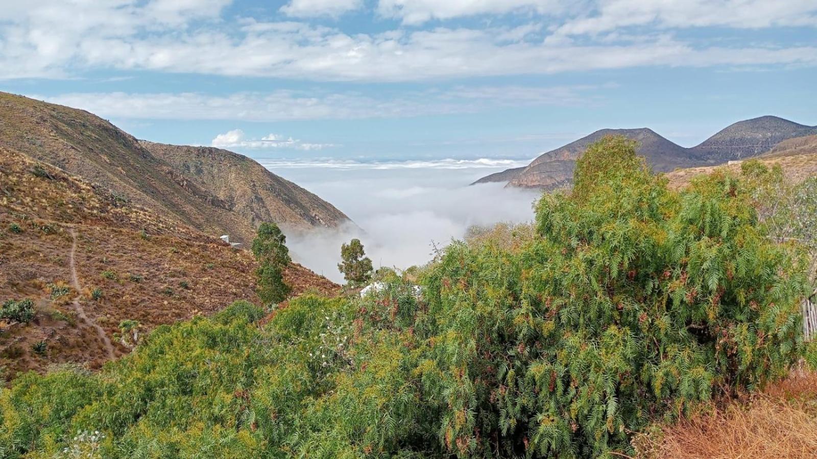 Ventana Al Desierto ξενώνας Catorce Εξωτερικό φωτογραφία