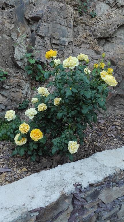 Ventana Al Desierto ξενώνας Catorce Εξωτερικό φωτογραφία